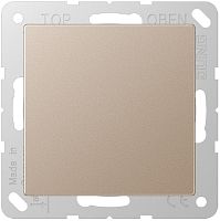 Заглушка без рамки Jung A creation шампань картинка